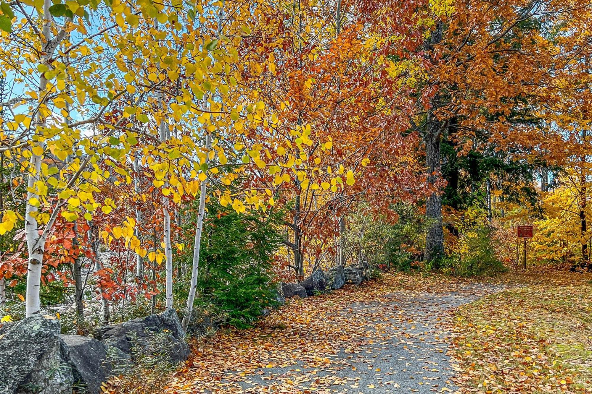 Autumn Colors Condo, Unit 215 Lincoln Eksteriør billede